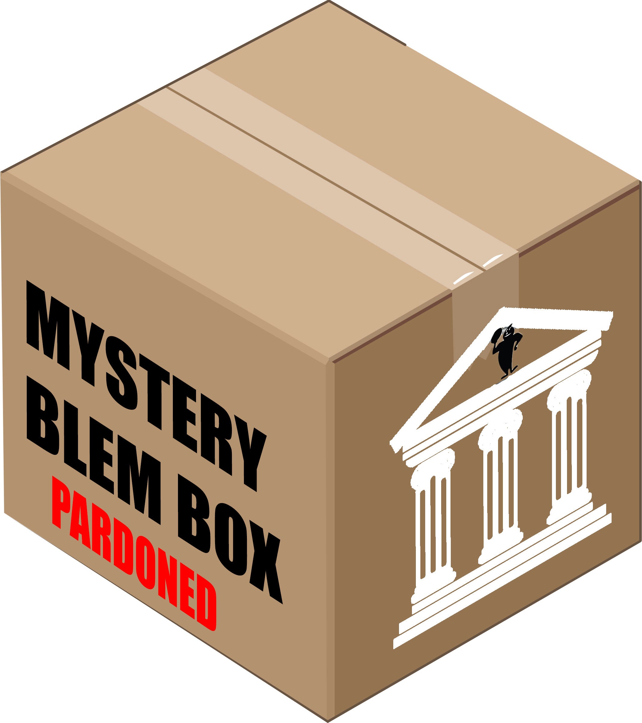 Mystery Hype-Beast Box  Mystery box, Mystery, Box