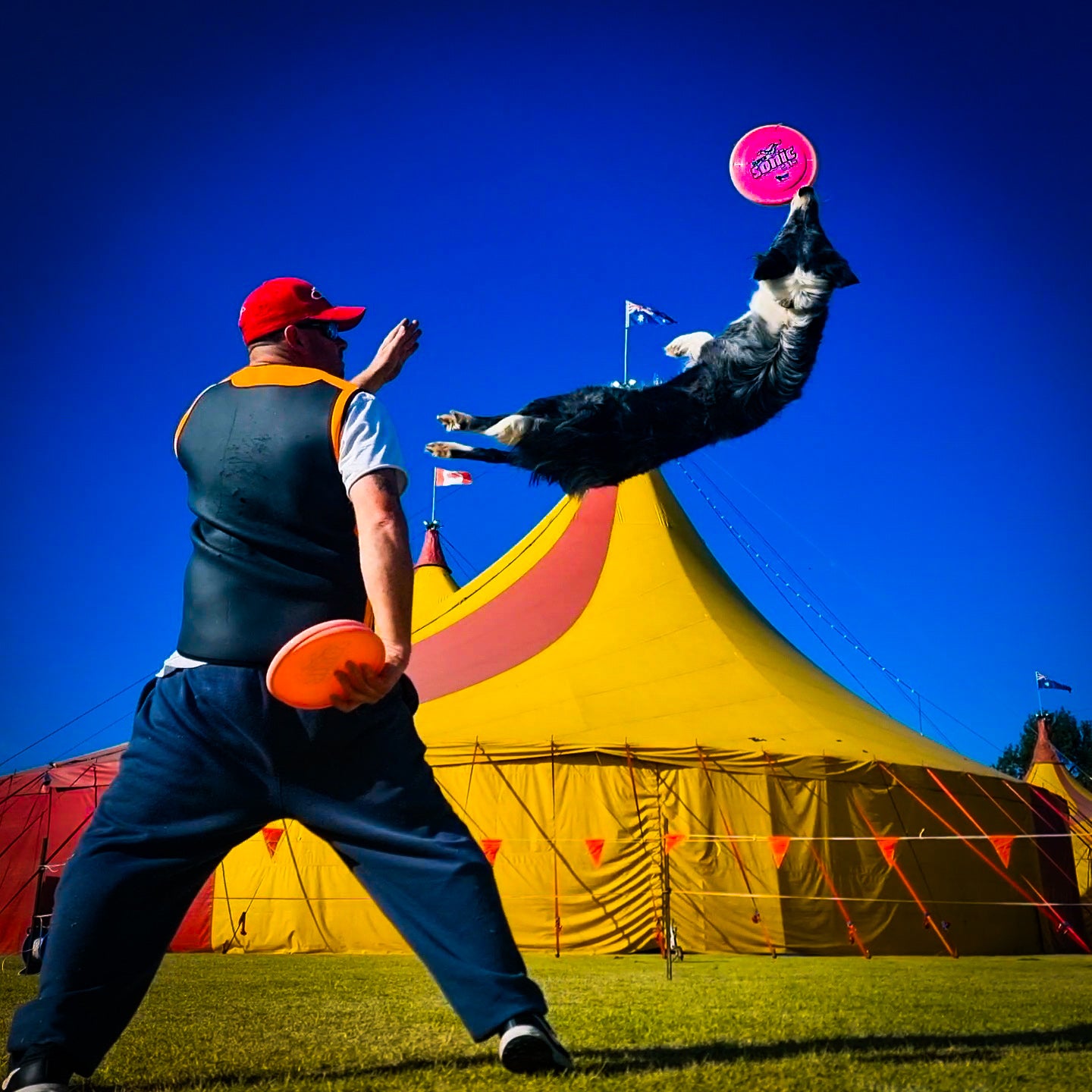 SuperSonic 215 Taffy – Hero Disc USA