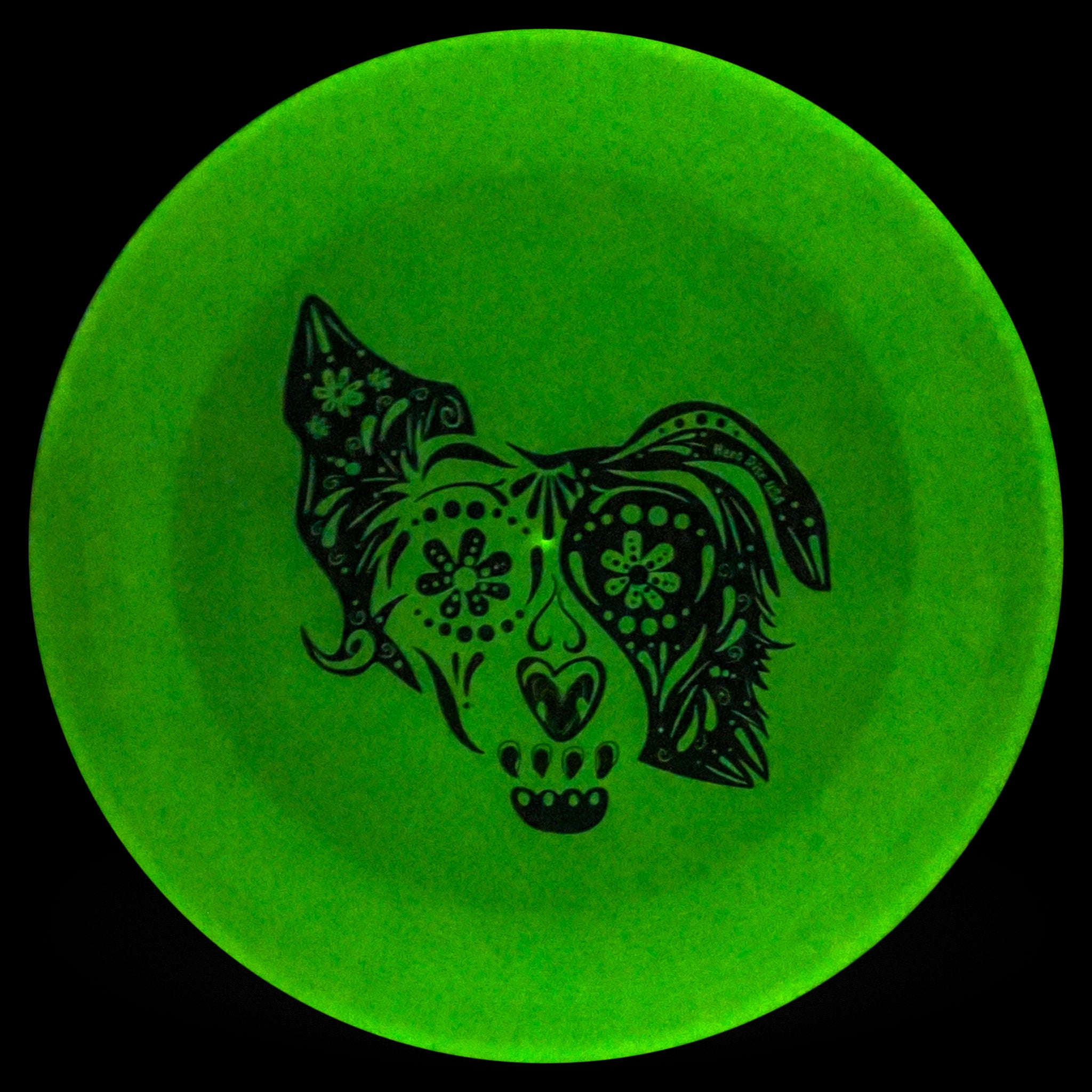 Glow in the 2024 dark dog frisbee