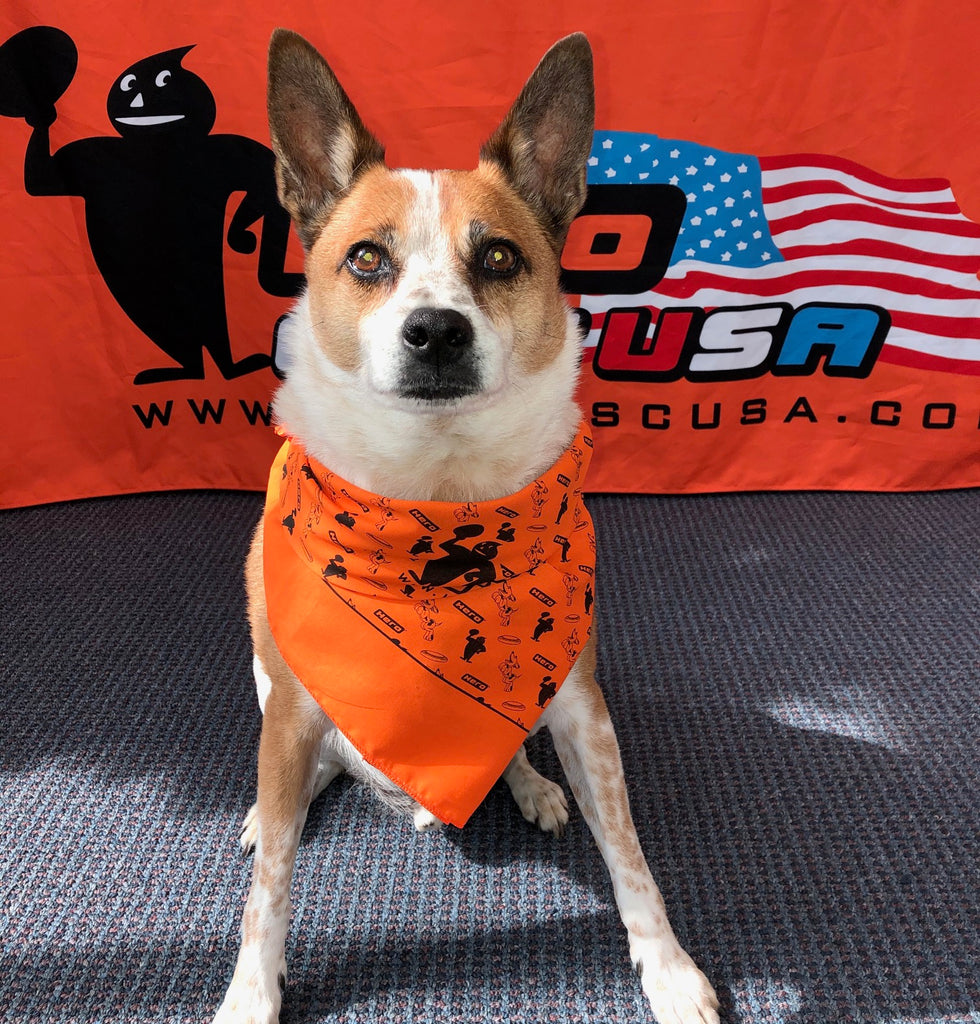 Dog Collar Mets Dog Bandana Mets Dog That's My Bro Baseball Dog